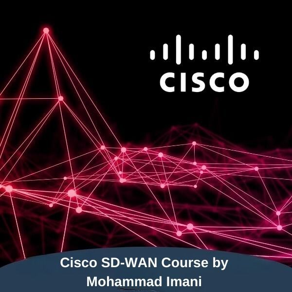 Cisco SD-WAN Viptela Course by Mohammad Imani